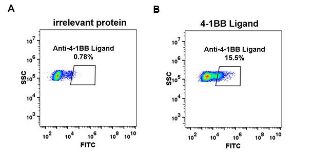 Anti-4-1BB Ligand antibody(DM68), Rabbit mAb