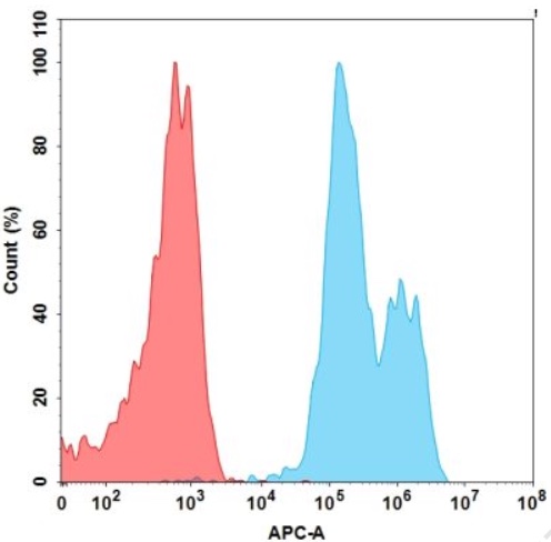 Figure-2: Flow cytometry with 15 ug/mL Anti-TIGIT mAB on Expi293 transfected cells with Human TIGIT protein (Blue histogram) and Expi293 transfected cell with irrelevant protein (Red histogram).