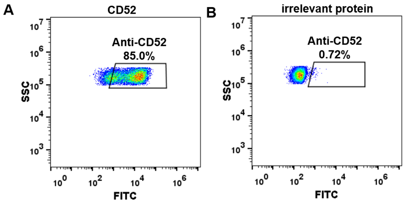Anti-CD52 Antibody (alemtuzumab biosimilar) (Campath-1H)