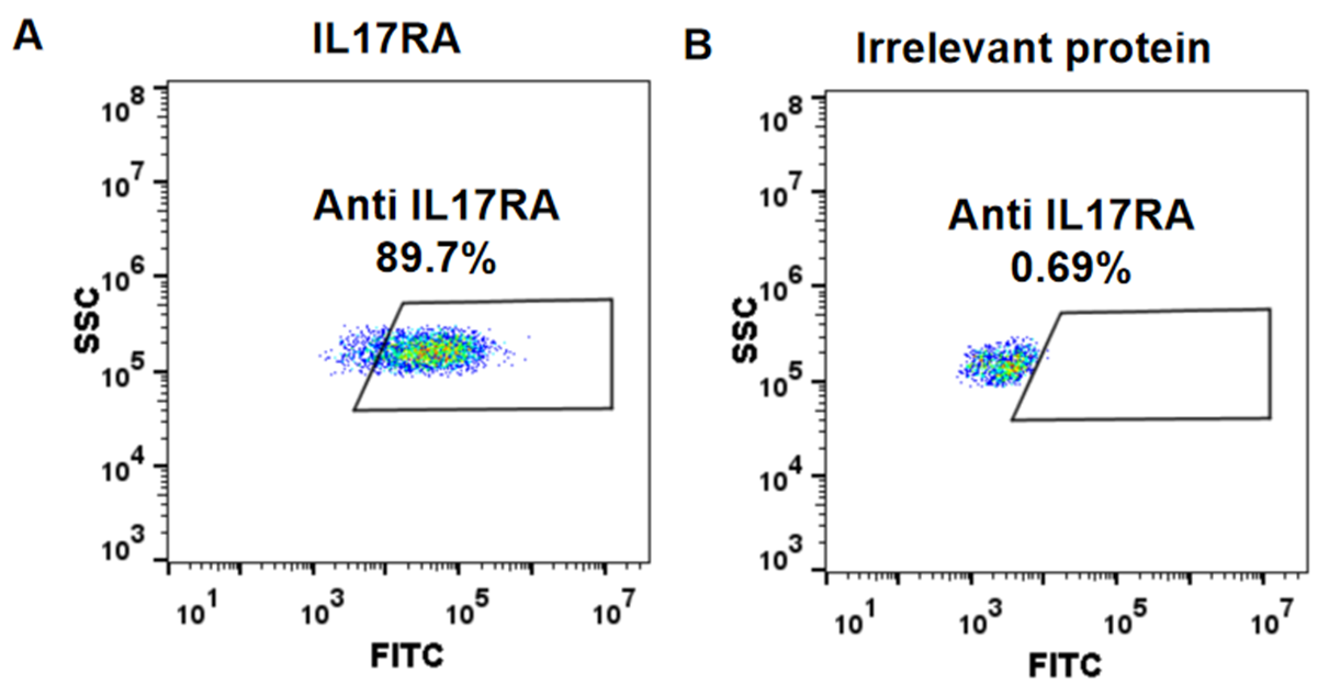Anti-IL17RA Antibody (brodalumab biosimilar) (AMG827)