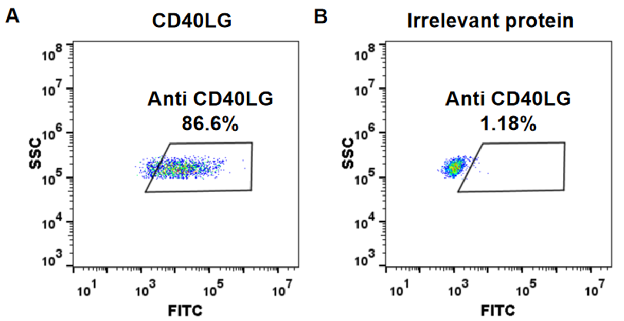 Anti-CD40L Antibody (ruplizumab biosimilar) (hu5c8)