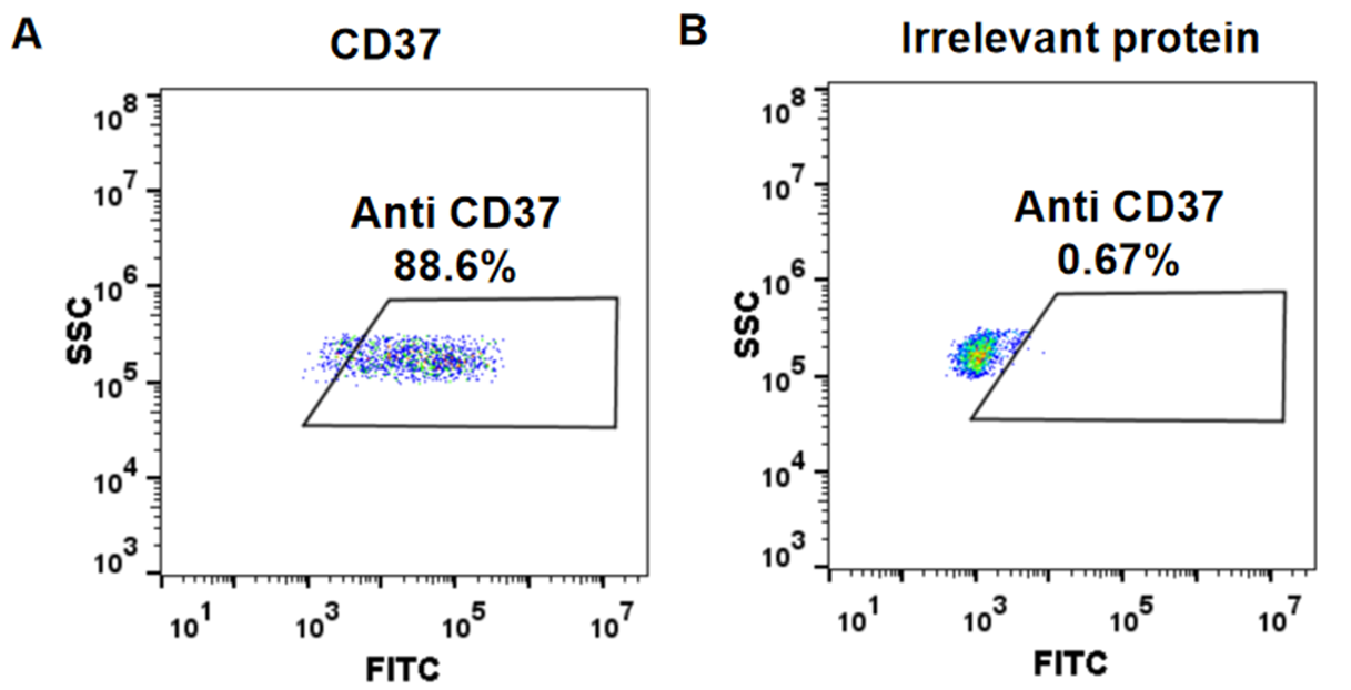 Anti-CD37 Antibody(naratuximab biosimilar) (IMGN-529)