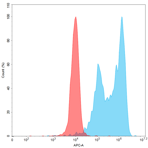 Figure 2. Flow cytometry analysis with Anti-ROR1 (zilovertamab biosimilar) mAb 15 µg/mL on Expi293 cells transfected with Human ROR1 (Blue histogram) or Expi293 transfected with irrelevant protein (Red histogram).