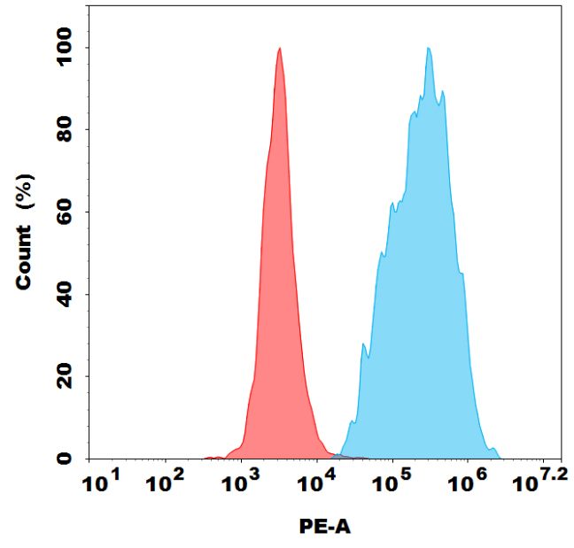 PE-conjugated Anti-CLDN18.2 (zolbetuximab biosimilar) mAb PE-conjugated Anti-CLDN18.2 (zolbetuximab biosimilar) mAb