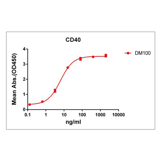 Anti-CD40 antibody(DM100), Rabbit mAb