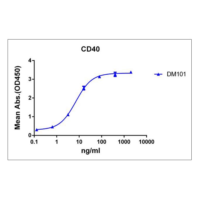 Anti-CD40 antibody(DM101), Rabbit mAb