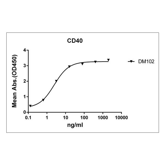Anti-CD40 antibody(DM102), Rabbit mAb