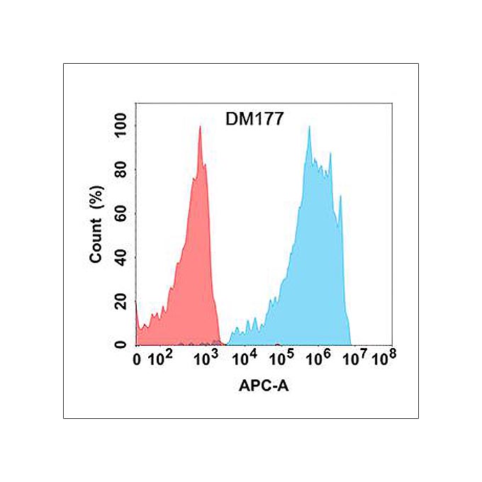 Anti-PD-1 antibody(DM177), Rabbit mAb