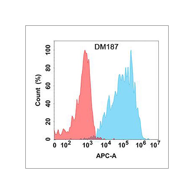 Anti-IL2 antibody(DM187), Rabbit mAb