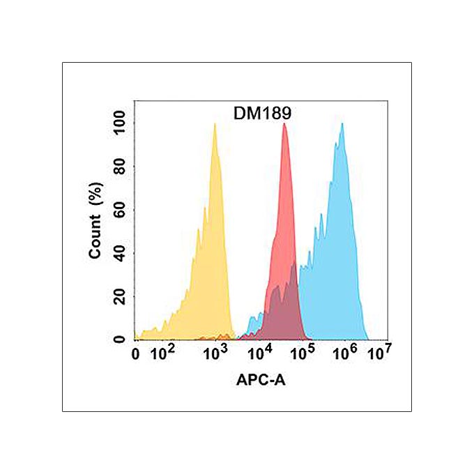 Anti-BCL2L1 antibody(DM189), Rabbit mAb