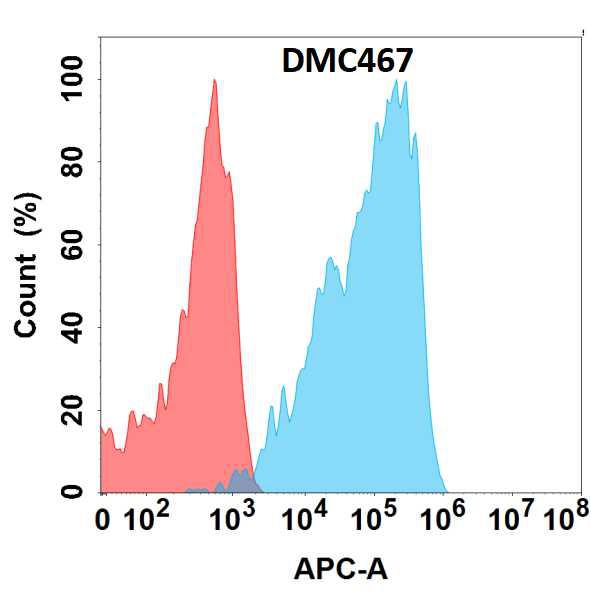 Anti-TGFBR2 antibody(DMC467); IgG1 Chimeric mAb