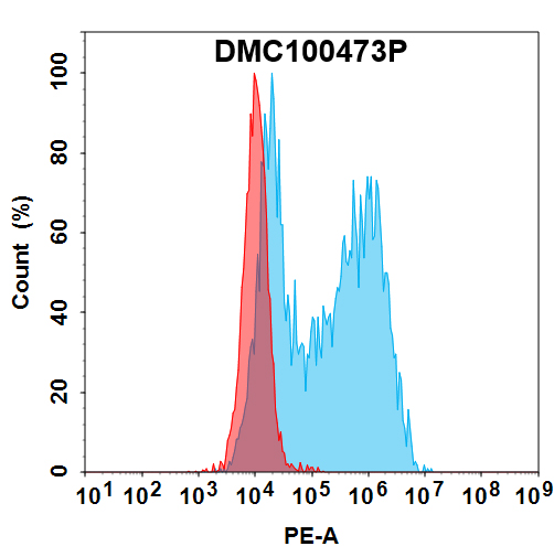 PE-conjugated Anti-EMCN antibody(DMC473); IgG1 Chimeric mAb PE-conjugated Anti-EMCN antibody(DMC473); IgG1 Chimeric mAb