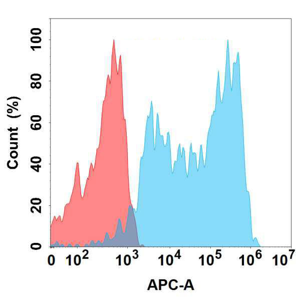 Anti-APP antibody(3D7); IgG1 Chimeric mAb