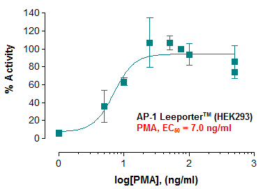 AP-1 Leeporter™ Luciferase Reporter-HEK293 Cell Line