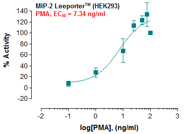 MIP-2 Leeporter™ Luciferase Reporter-HEK293 Cell Line