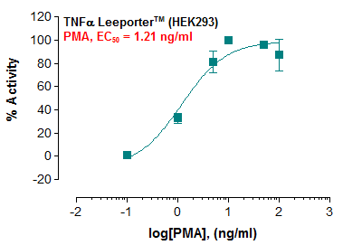 TNF-alpha Leeporter™ Luciferase Reporter-HEK293 Cell Line