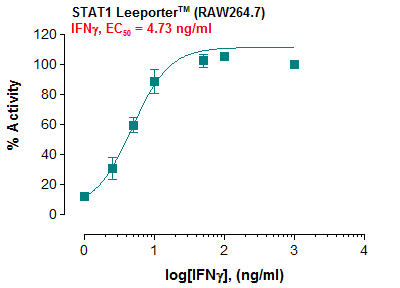 STAT1 Leeporter™ Luciferase Reporter-RAW264.7 Cell Line