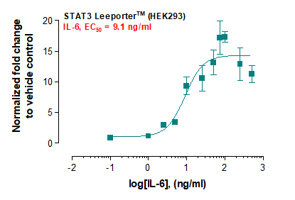 STAT3 Leeporter™ Luciferase Reporter-HEK293 Cell Line