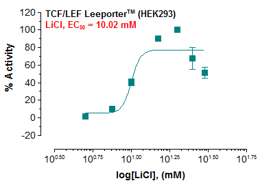 Fig-1: Induction of TCF/LEF activity by LiCl in TCF/LEF Leeporter™ – HEK293 cells.