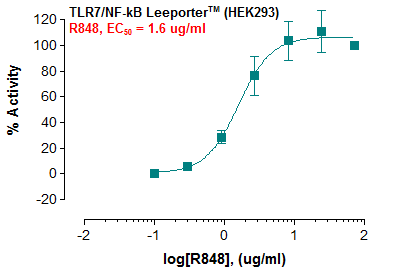 TLR7/NF-kB Leeporter™ Luciferase Reporter-HEK293 Cell Line