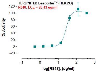 TLR8/NF-kB Leeporter™ Luciferase Reporter-HEK293 Cell Line