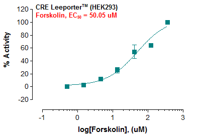 CRE Leeporter™ Luciferase Reporter-HEK293 Cell Line