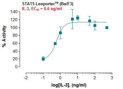 STAT5 Leeporter™ Luciferase Reporter-Ba/F3 Cell Line