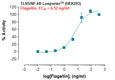 TLR5/NF-kB Leeporter™ Luciferase Reporter-HEK293 Cell Line