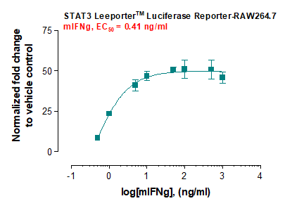 STAT3 Leeporter™ Luciferase Reporter-RAW264.7 Cell Line