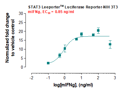 STAT3 Leeporter™ Luciferase Reporter-NIH 3T3 Cell Line