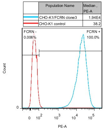 FcRn Stable Cell Line-CHO-K1-Human