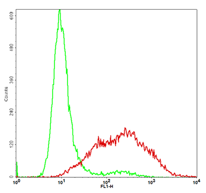 PD-1 Stable Cell Line