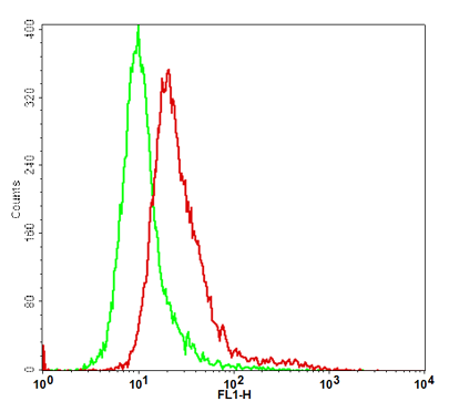 Fig-1: Detection of human ACE2 in the ACE2/CHO-K1 stable cell line by Flow Cytometry [Cell surface staining] using anti-human ACE2 antibody (Clone AC18F; Abeomics Cat. No.: 10-10031-AT488). Parental CHO-K1 cells (Green); ACE2/CHO-K1 cells (Red).
