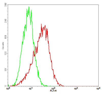 C3aR1/NIH 3T3 Stable Cell Line