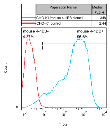 4-1BB Stable Cell Line-CHO-K1-Mouse 4-1BB Stable Cell Line-CHO-K1-Mouse