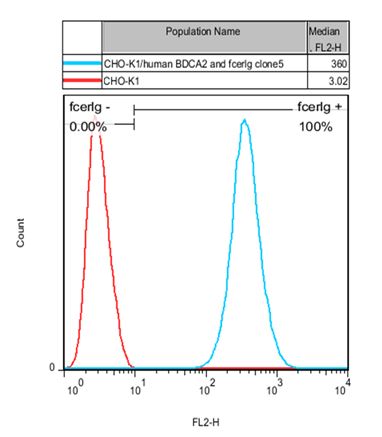 BDCA2 and FcER1G Stable Cell Line-CHO-K1-Human BDCA2 and FcER1G Stable Cell Line-CHO-K1-Human