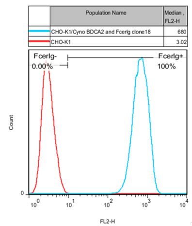 BDCA2 and FcER1G Stable Cell Line-CHO-K1-Cynomolgus BDCA2 and FcER1G Stable Cell Line-CHO-K1-Cynomolgus