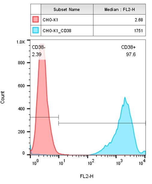 CD38 Stable Cell Line-CHO-K1-Human CD38 Stable Cell Line-CHO-K1-Human