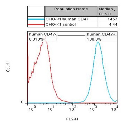 CD47 Stable Cell Line-CHO-K1-Human CD47 Stable Cell Line-CHO-K1-Human