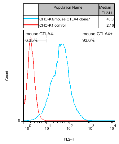 CTLA4 Stable Cell Line-CHO-K1-Mouse CTLA4 Stable Cell Line-CHO-K1-Mouse