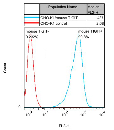 TIGIT Stable Cell Line-CHO-K1-Mouse TIGIT Stable Cell Line-CHO-K1-Mouse