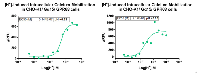 G alpha 15 Stable Cell Line-GPR68-CHO-K1-Human G alpha 15 Stable Cell Line-GPR68-CHO-K1-Human