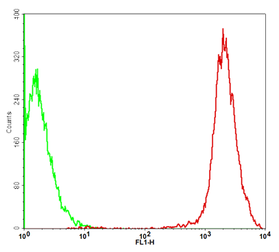 Fig-2: Detection of GFP in the GFP/VERO stable cell line through flow cytometry . Parental Vero E6 cells (Green); GFP/VERO cells (Red).