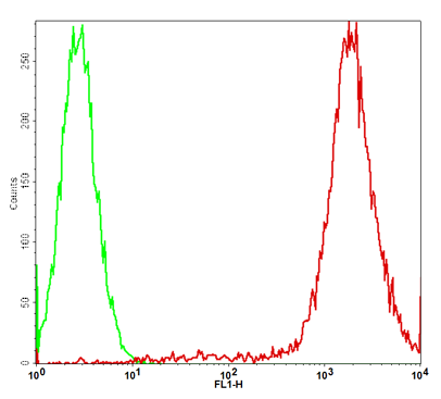Fig-2: Detection of GFP in the GFP/HeLa stable cell line through flow cytometry . Parental HeLa cells (Green); GFP/HeLa cells (Red).