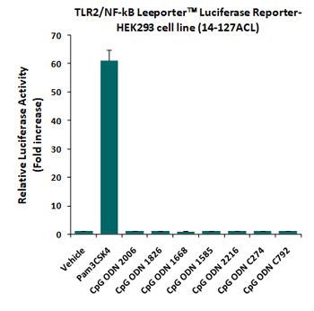 Fig-2: Abeomics' CpG ODNs did not show any TLR2 agonist activity. TLR2/NF-kB Leeporter™ HEK293 cells (14-127ACL) were treated with various CpG ODNs at 100 ug/ml as well as a positive TLR2 agonist, Pam3CSK4, at 10 ng/ml for 16 h, and luciferase activity was then analyzed.