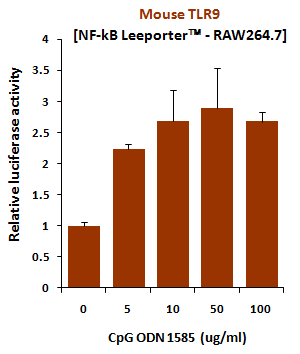 Fig-2: Induction of mouse TLR9 activity by CpG ODN 1585.