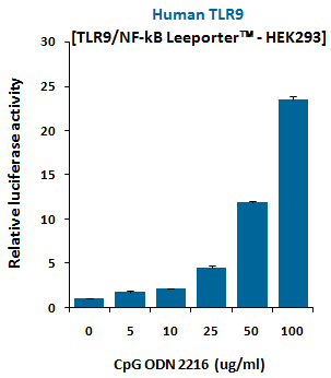 Fig-1: Induction of human TLR9 activity by CpG ODN 2216.