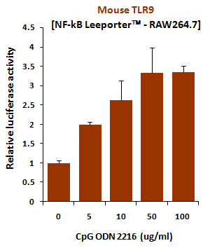 Fig-2. Induction of mouse TLR9 activity by CpG ODN 2216.