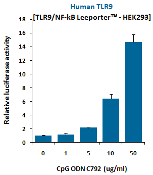 Fig-1: Induction of human TLR9 activity by CpG ODN C792.