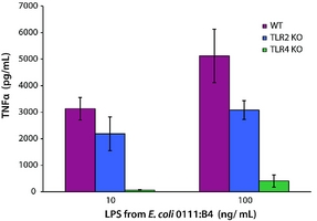 Lipopolysaccharide-LPS from Ecoli 0111:B4, Ion-Exchange Chromatography,TLR4 ligand Lipopolysaccharide-LPS from Ecoli 0111:B4, Ion-Exchange Chromatography,TLR4 ligand